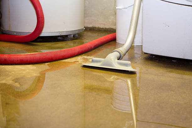 Local water damage restoration in Yutan, NE