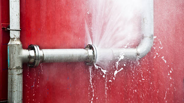 Best Mold removal after water damage  in Yutan, NE